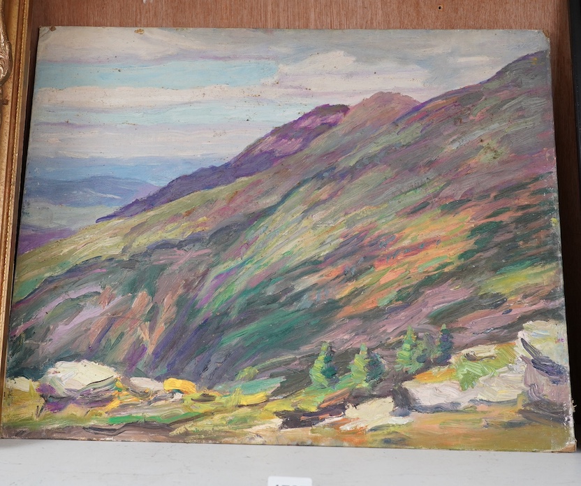 Maud T Atwater, oil on canvas board, ‘View from Lakes of Clouds Hut, Washington’, unsigned, inscribed verso, 40 x 50cm, unframed. Condition - poor to fair